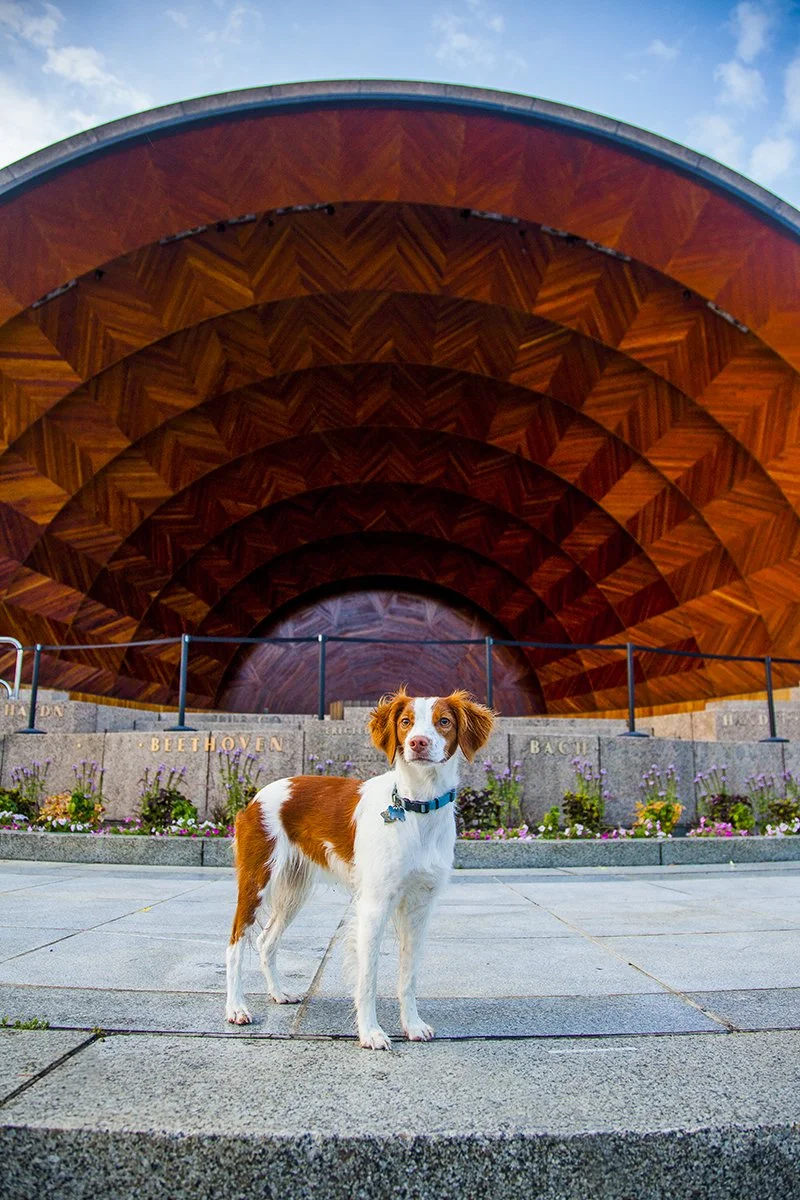 _MG_2500 Keeper Boston.jpg