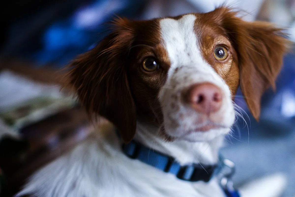 _MG_7228 Keeper CU.jpg