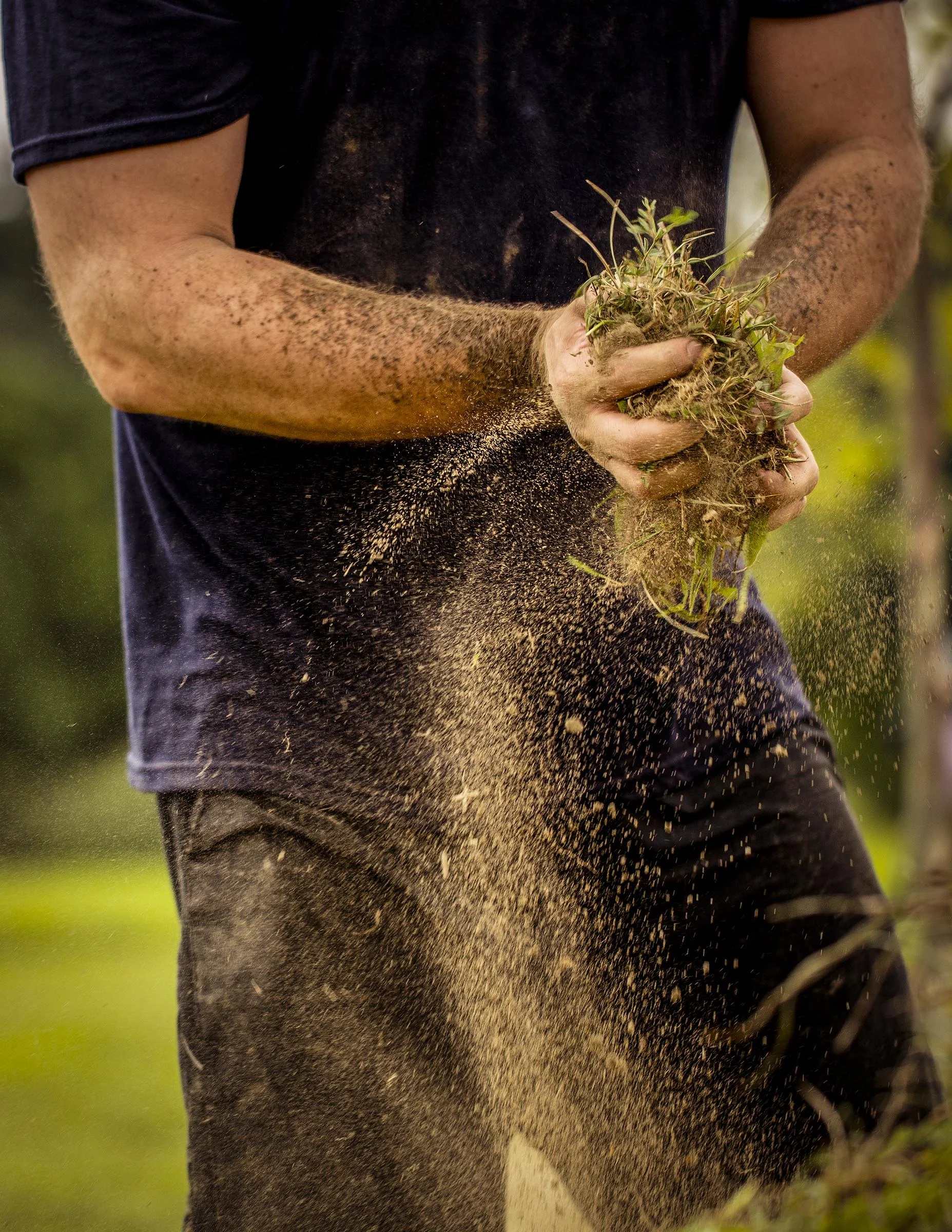 20160808 Sabr 1F5A1451 Dirt.jpg