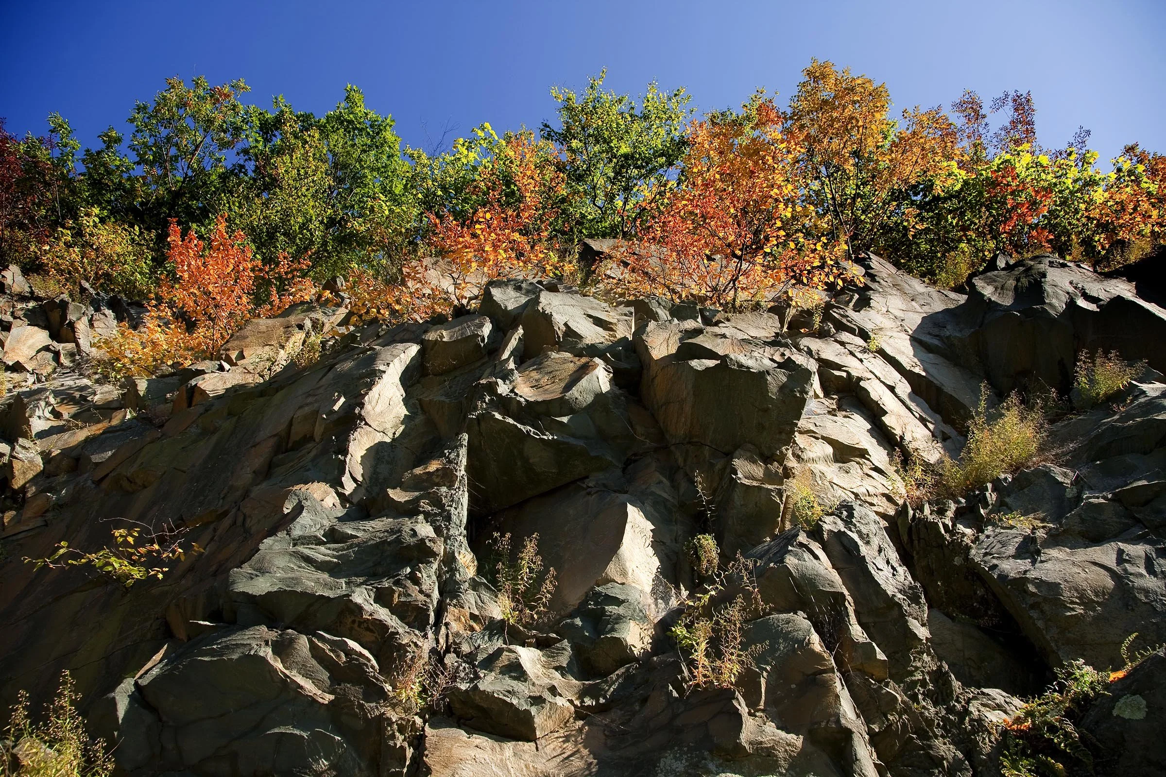 IMG_9499 Rocks Fall Trees.jpg