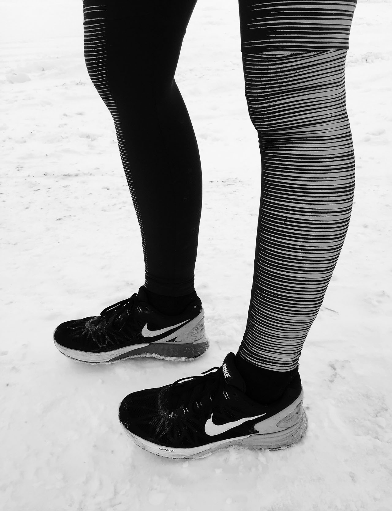 legs.jpg
