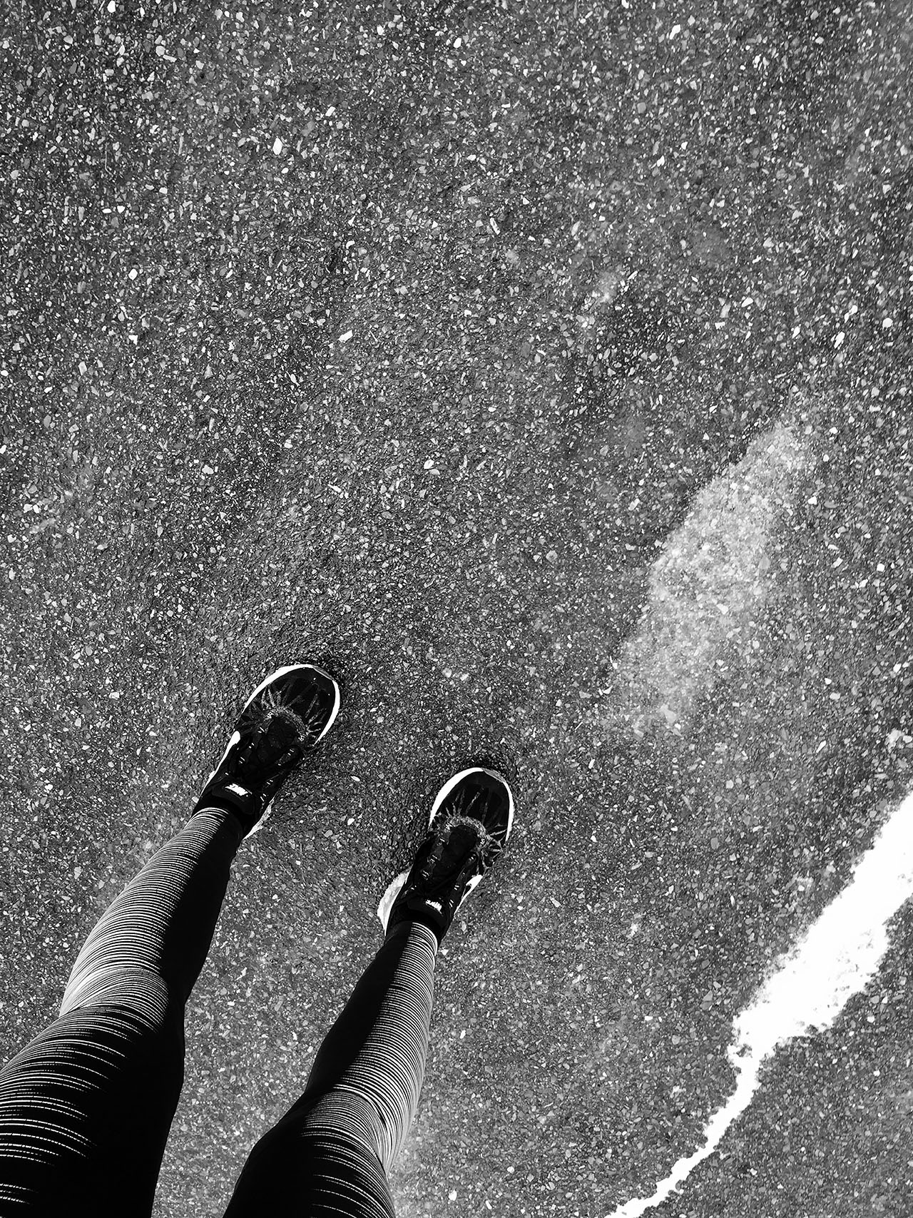 legs2.jpg