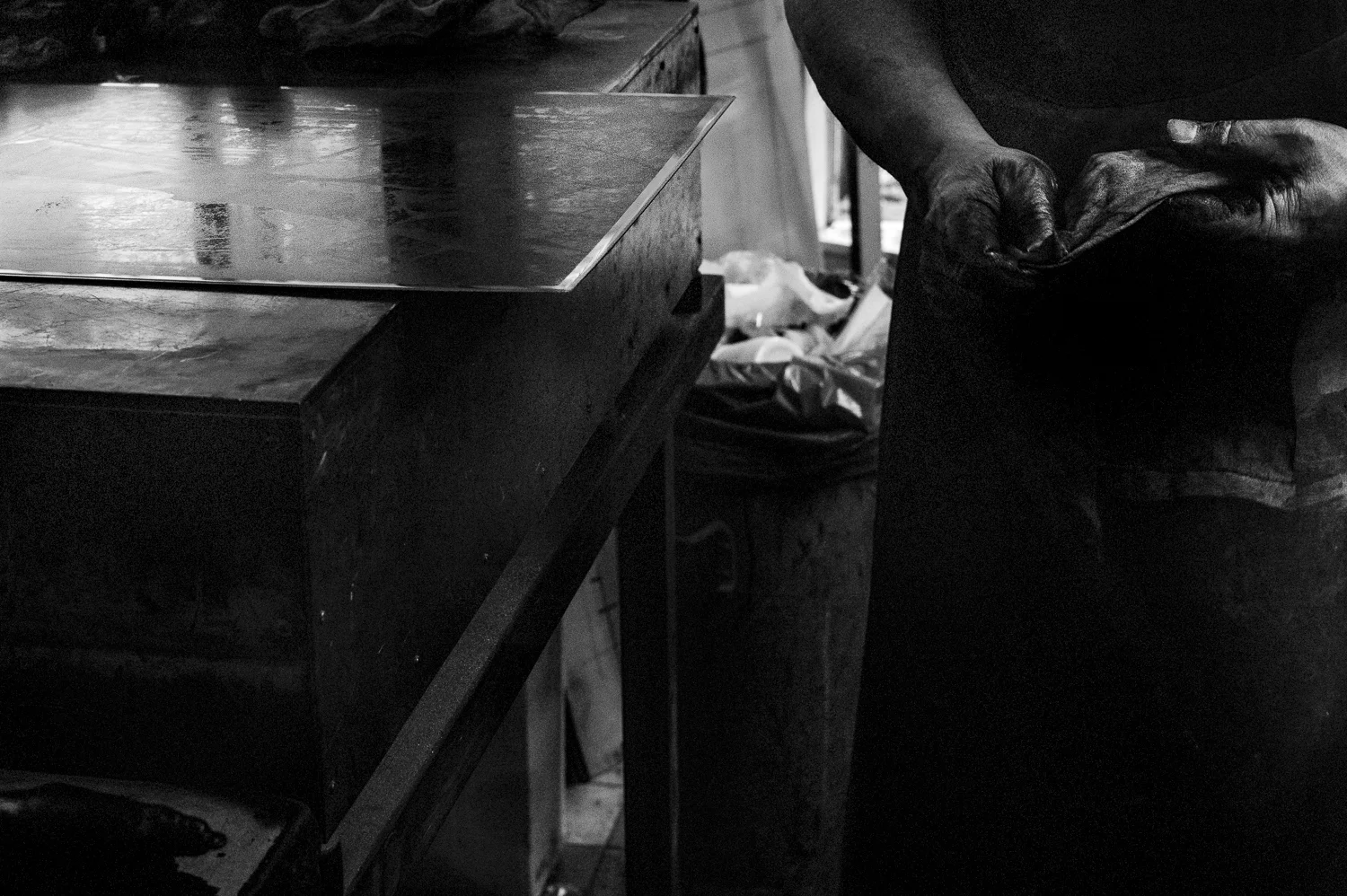 2017©Monika Houck