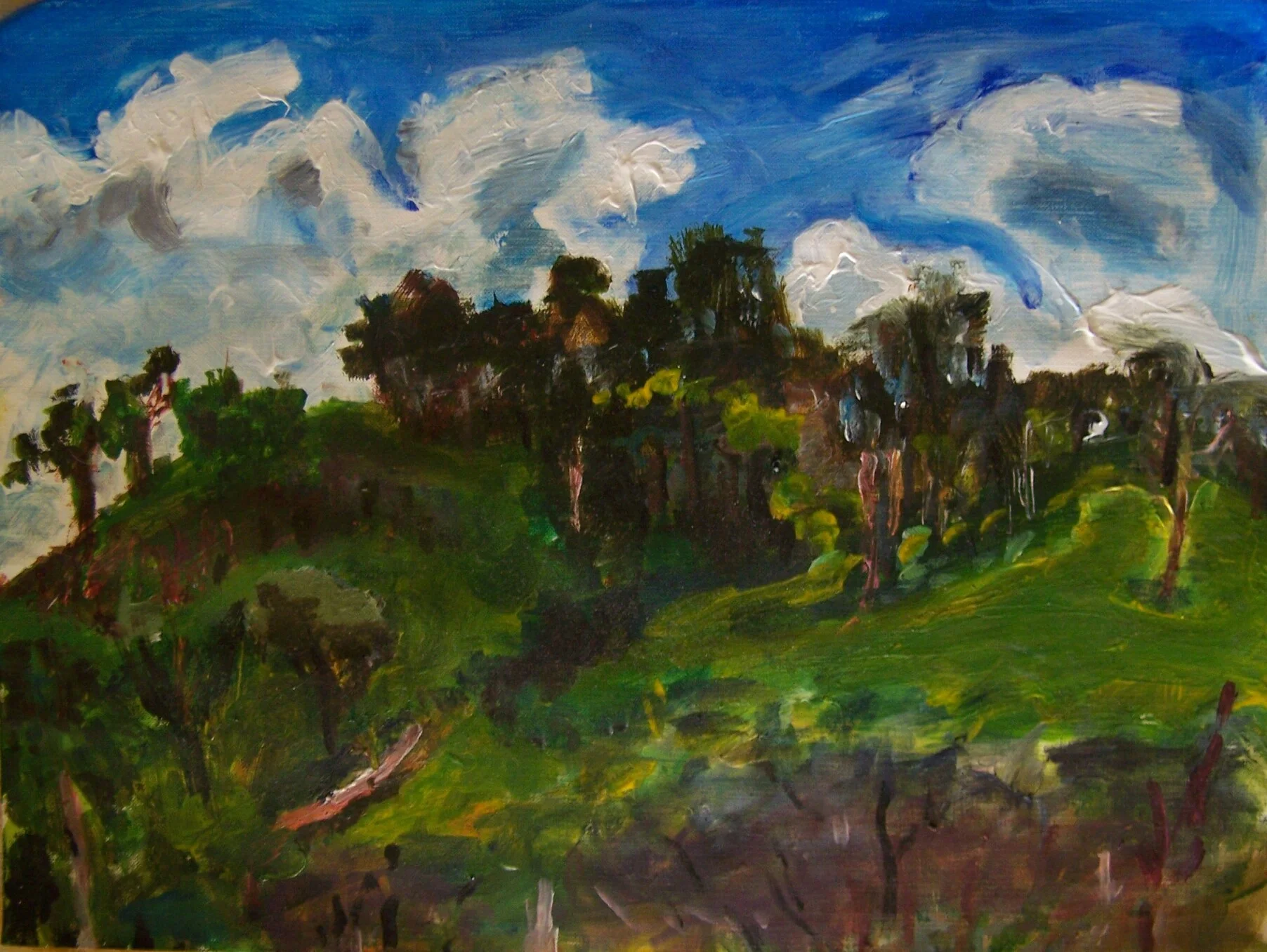Hills above Thea's Situ