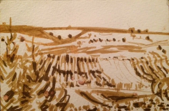 Field