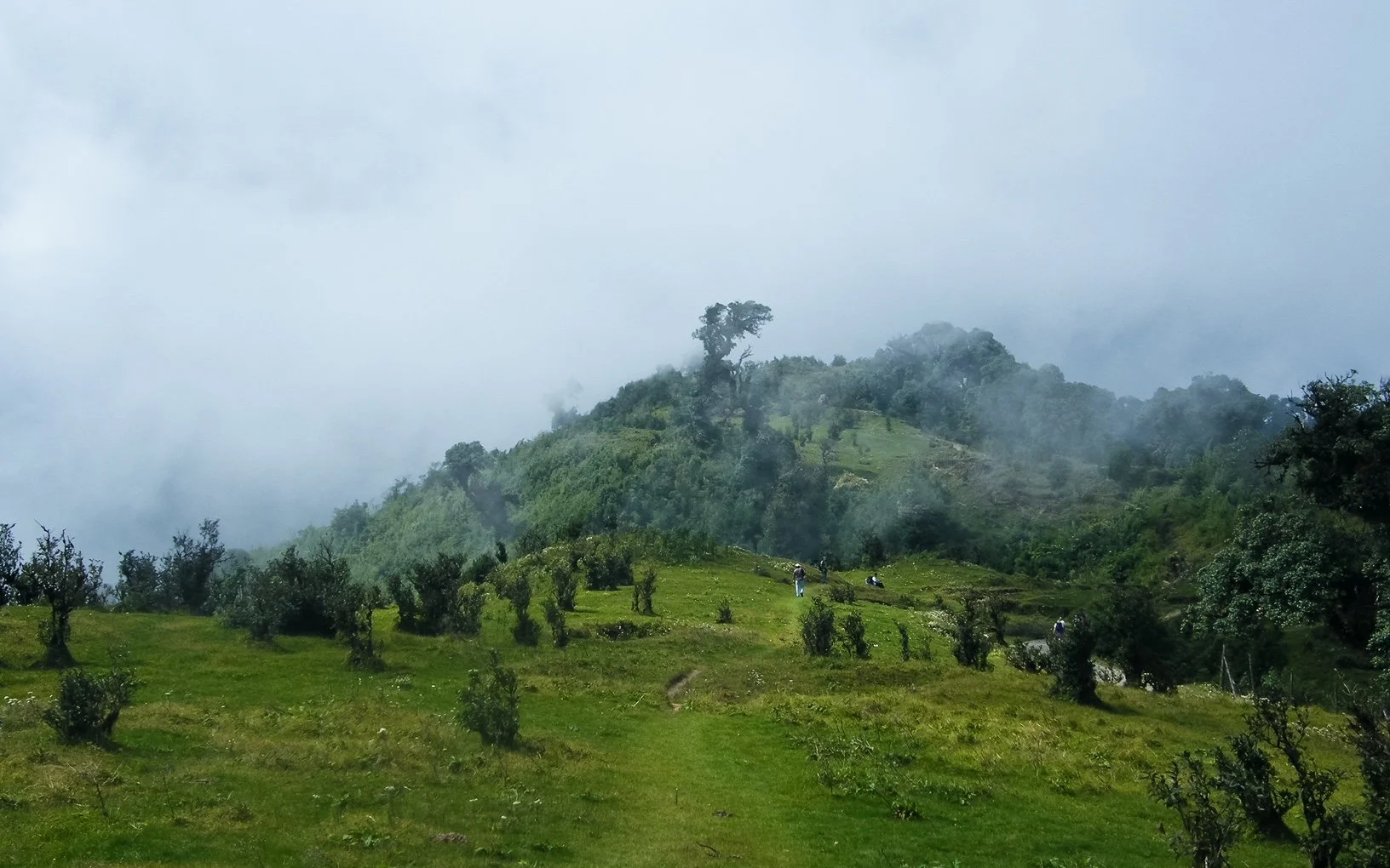 Lower Himalayas 2.JPG