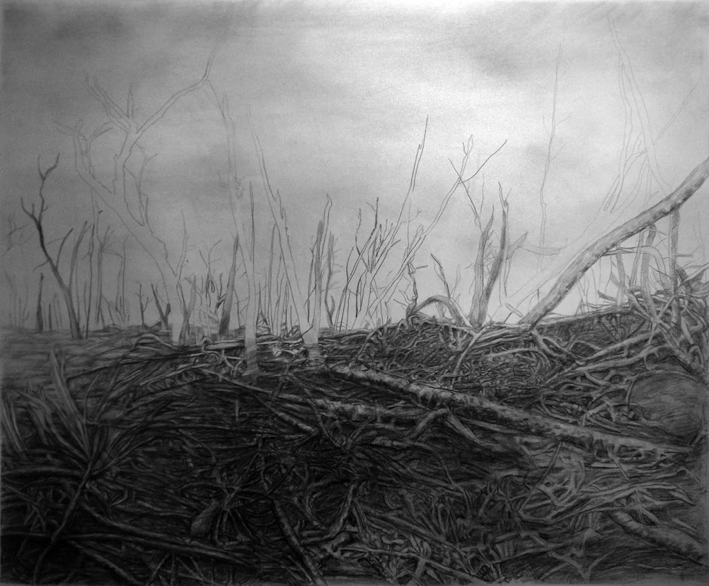 S_Cushner_Aftermath_1__37_x_45_inches_graphite_on______paper.jpg
