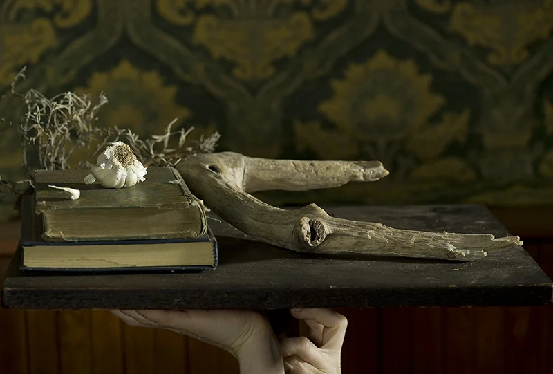 Installment10_of_Angle_of_Repose.jpg