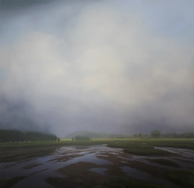 macneille-marsh-fog.jpg