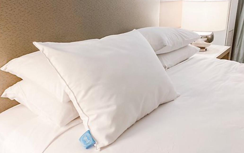 One Fresh Pillow Debuts on QVC...From Home!