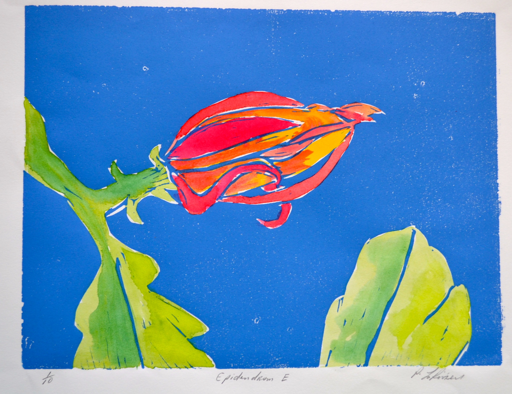 Epiphyllium E, 1:10 linocut, 8%22x12%22 .JPG