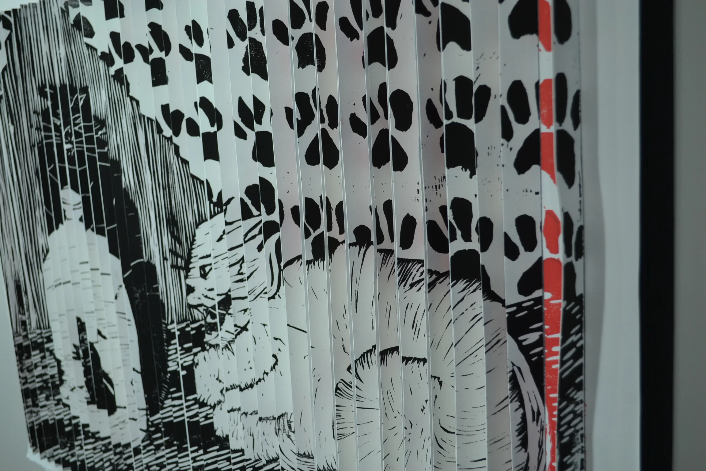 Cat House Book right view.JPG