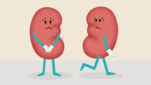 I Love My Kidneys!