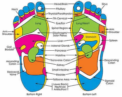 Foot Reflexology — Energy Medicine Center |Face Reading Classes 