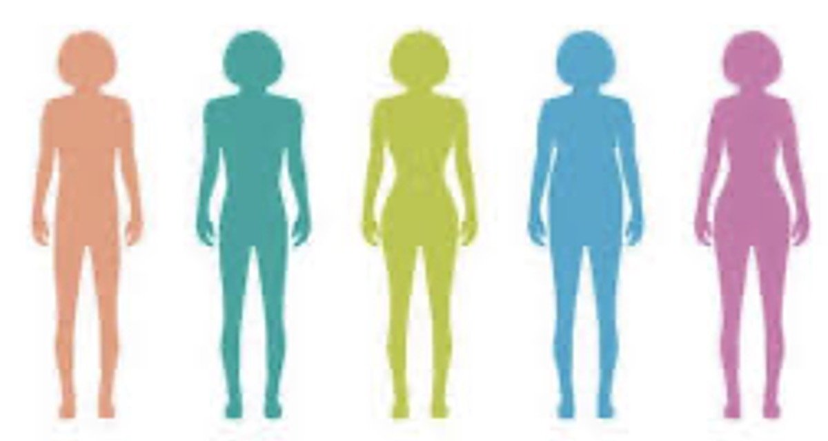Five Elements of Body Typing - Online Class