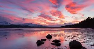 Managing Menopause with Eastern Medicine - Online Class