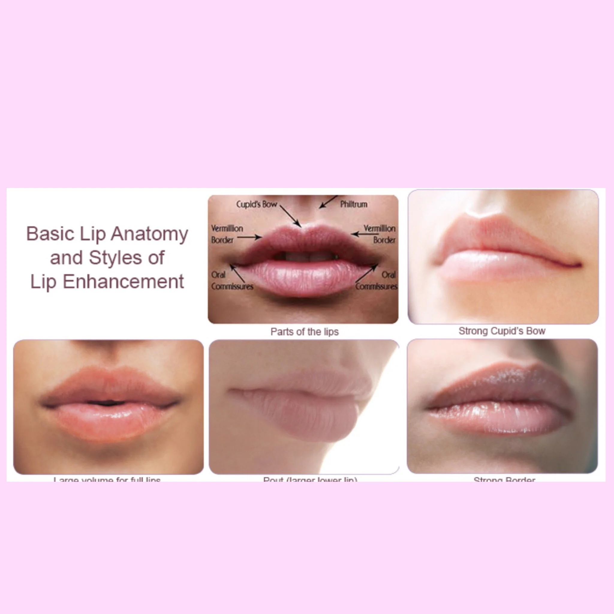 Here are some ideas of different lip shapes and pouts:) 