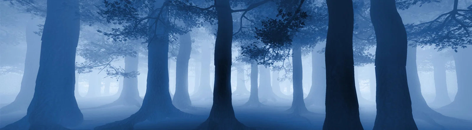 Header_Dark Forest and Trees.jpg