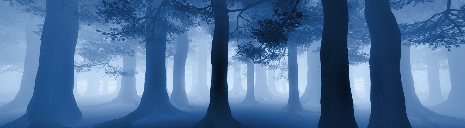 Header_Dark Forest and Trees.jpg