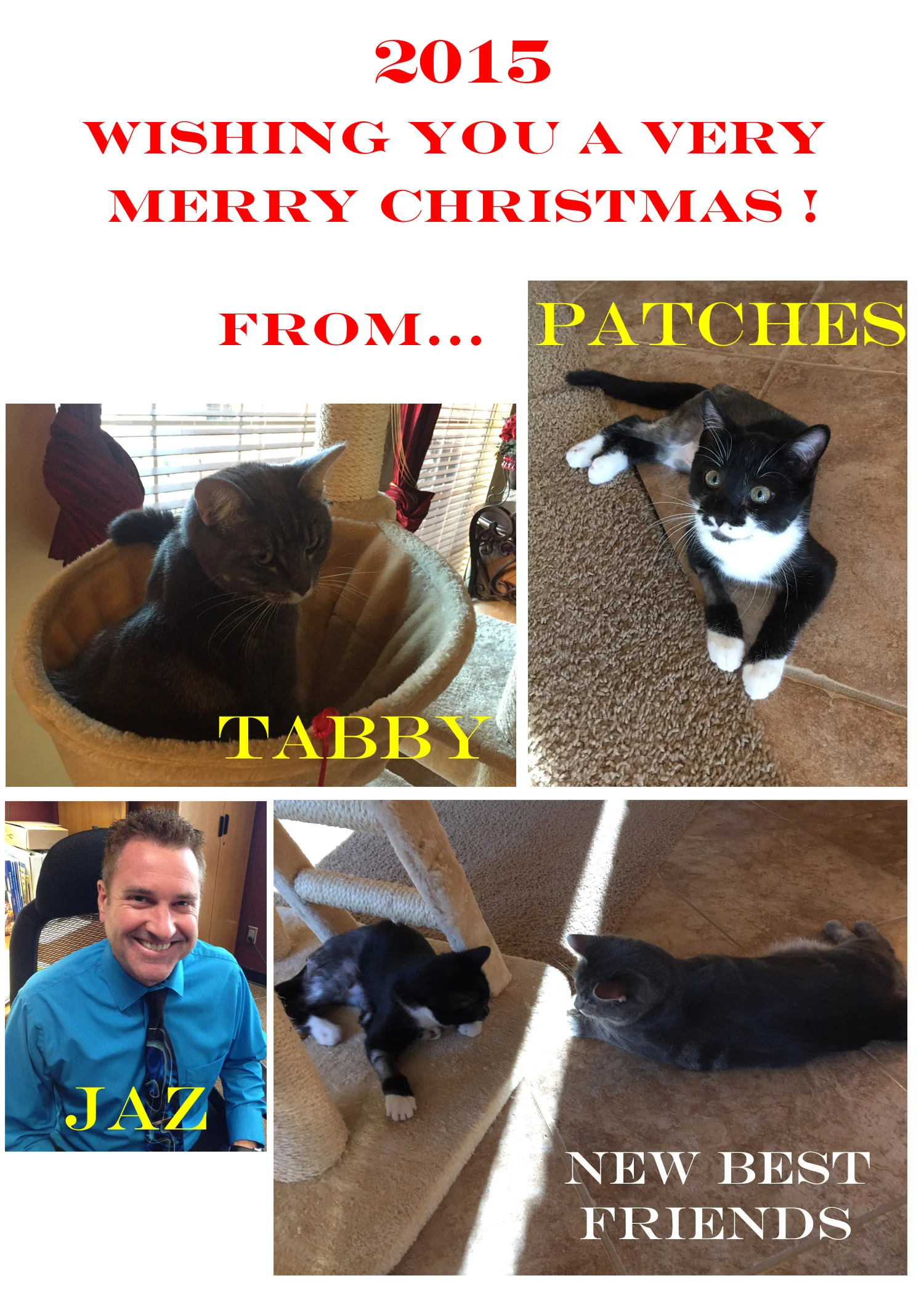 Merry Christmas and Happy Holidays!