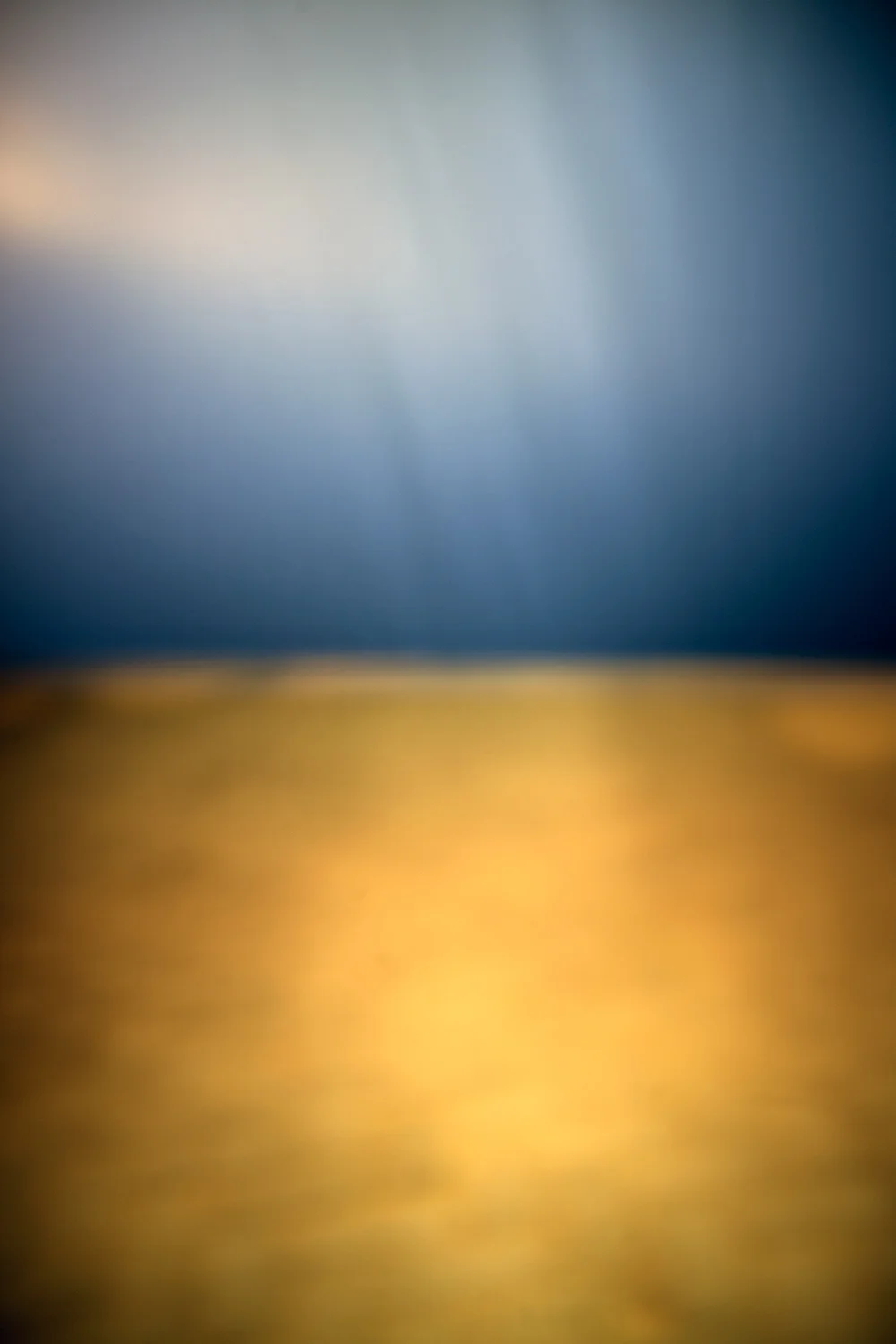 _MG_9359.jpg