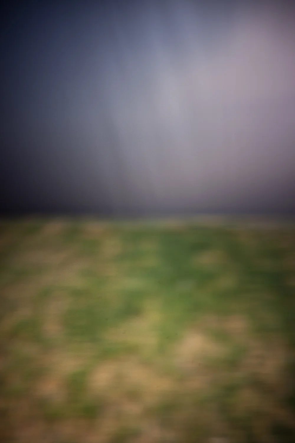 _MG_9381.jpg