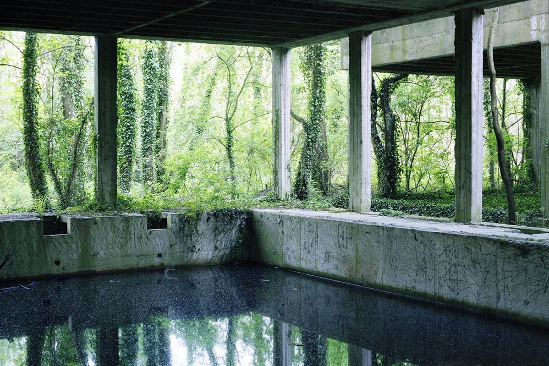 Jardins intérieurs - édition de textes et de photographies ( 2006 - présent )