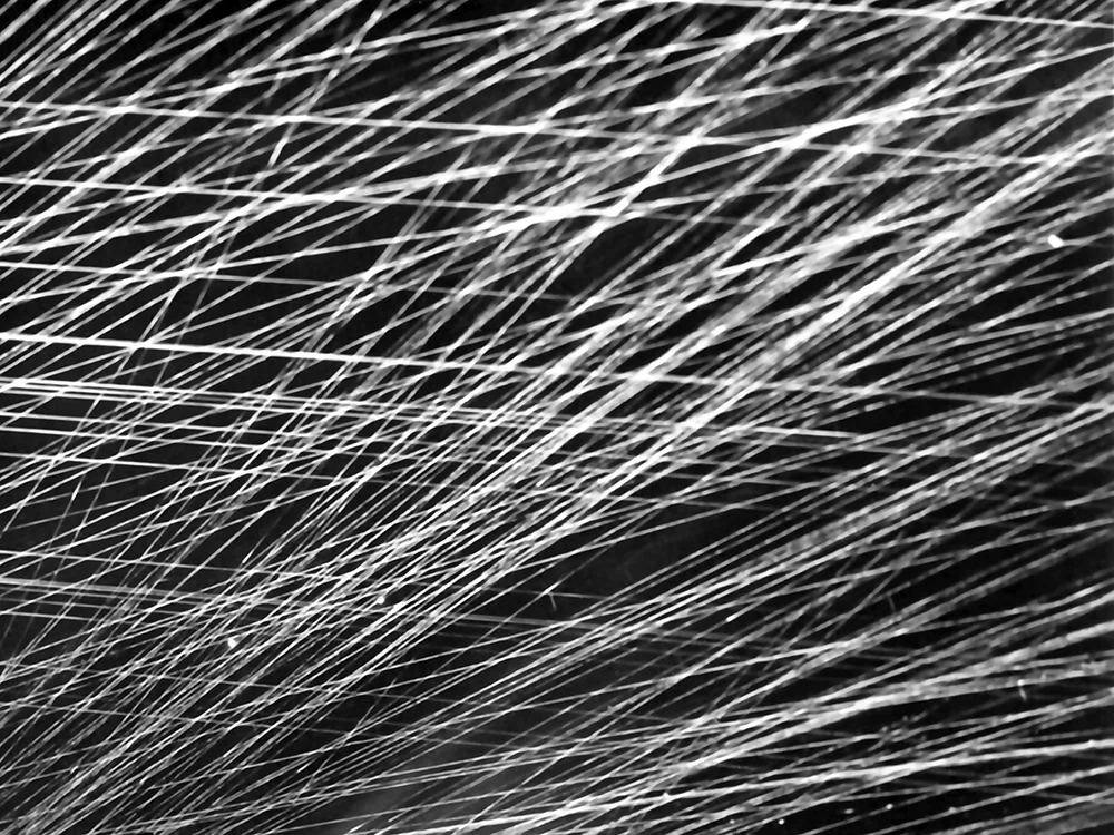 Empreintes 44 - imprimé sur papier photoluminescent 45x60cm - 2011