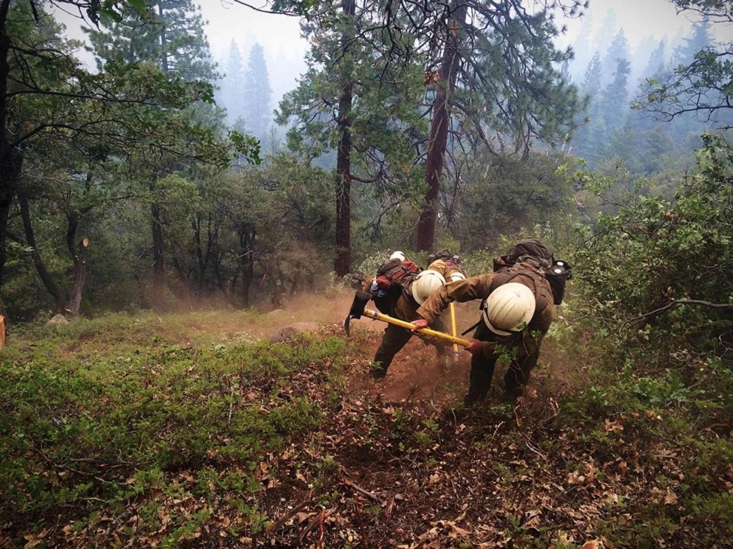 OnTheFireline02.jpg