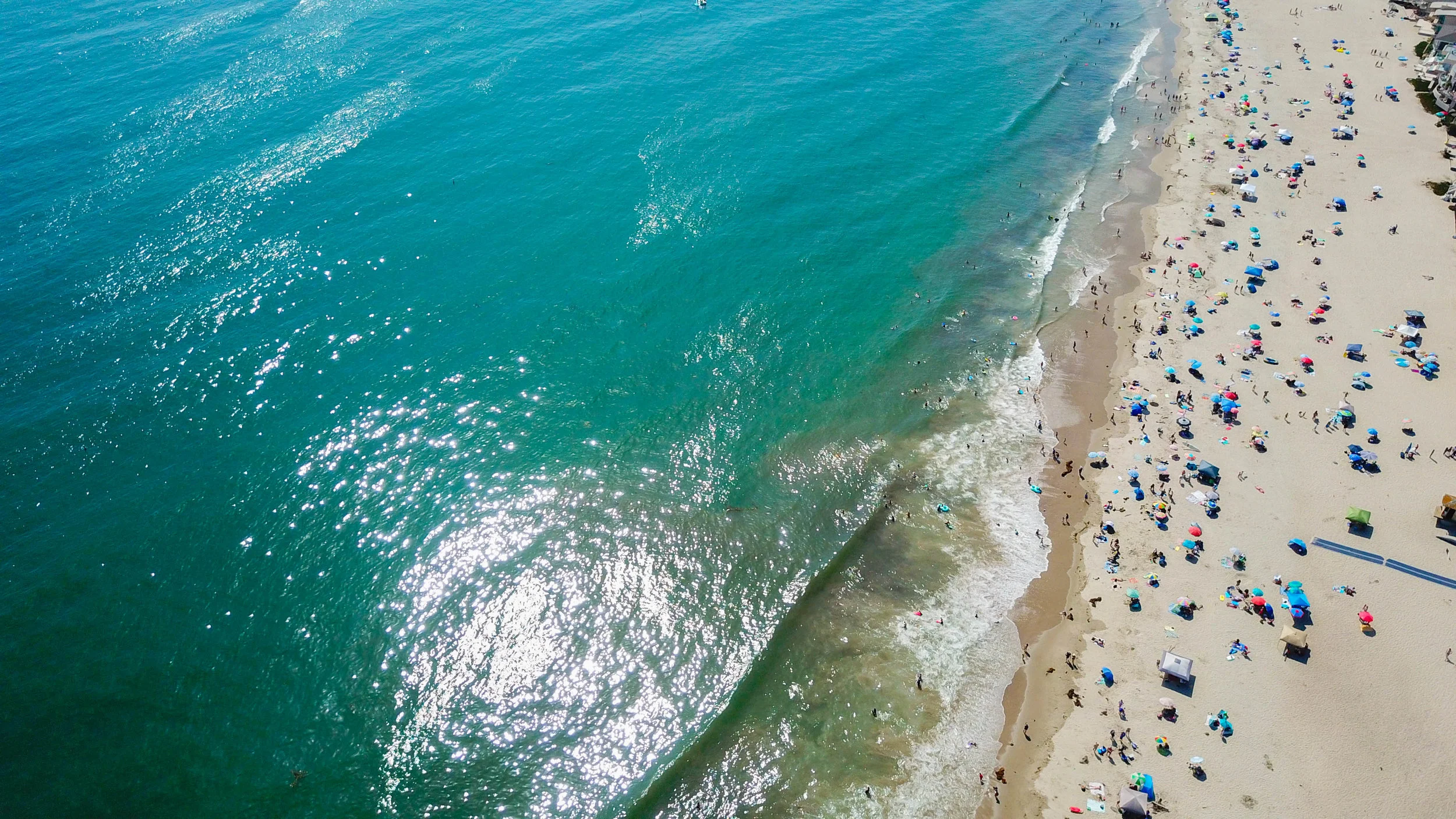 The Pacific Afternoon