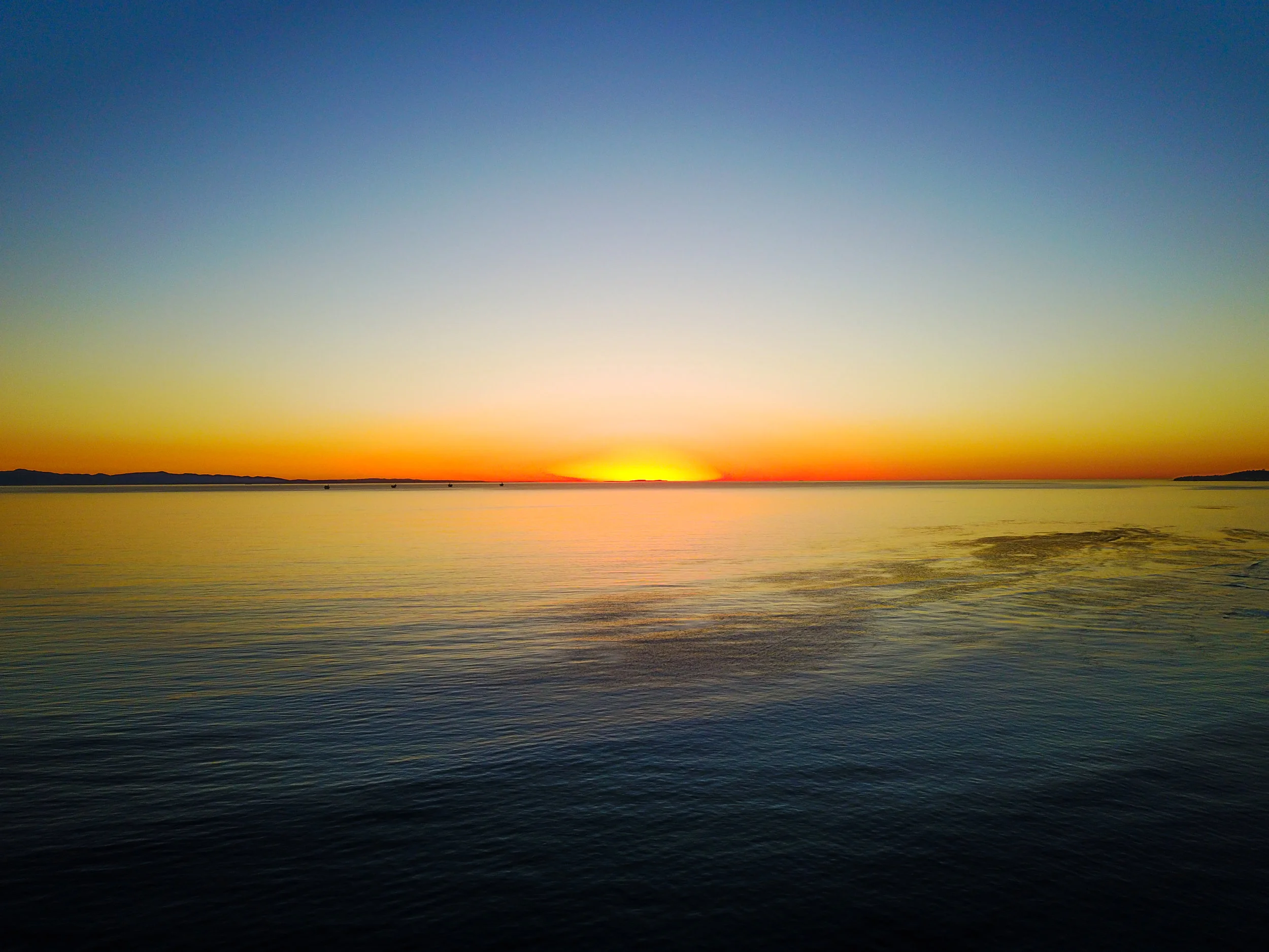 Drone Carpinteria - DJI_0097.jpg
