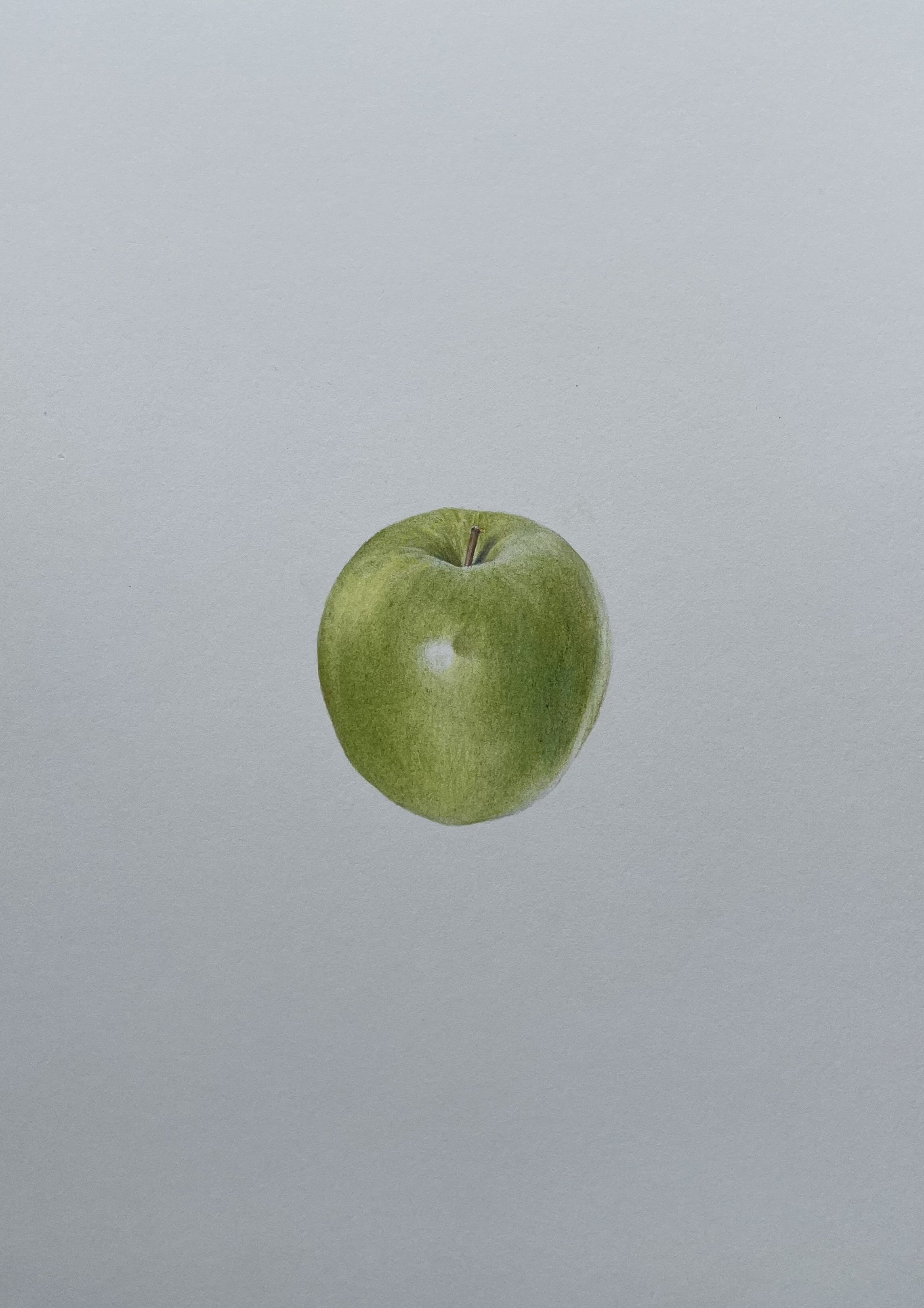   Apple   Colored pencil on paper  10 in x 14 in 