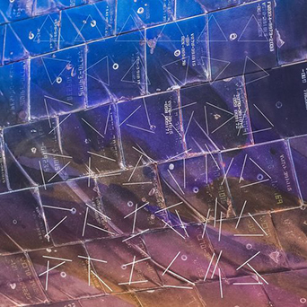 PrismsWhaleFallCoverArt.jpeg