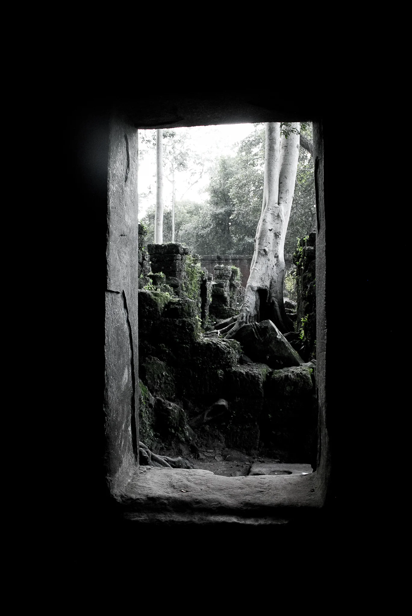 Tomb-Raiders-Siem-Reap-Cambodia-Pip-Cowley-26.jpg