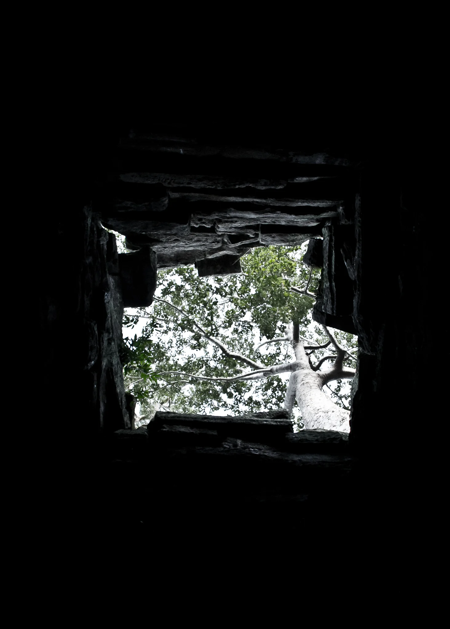 Tomb-Raiders-Siem-Reap-Cambodia-Pip-Cowley-35.jpg