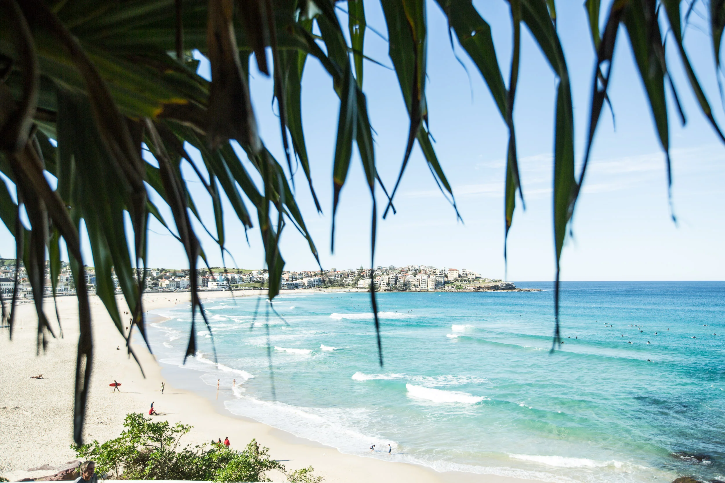 SYDNEY-2015-by-Pip-Cowley-1507293.jpg