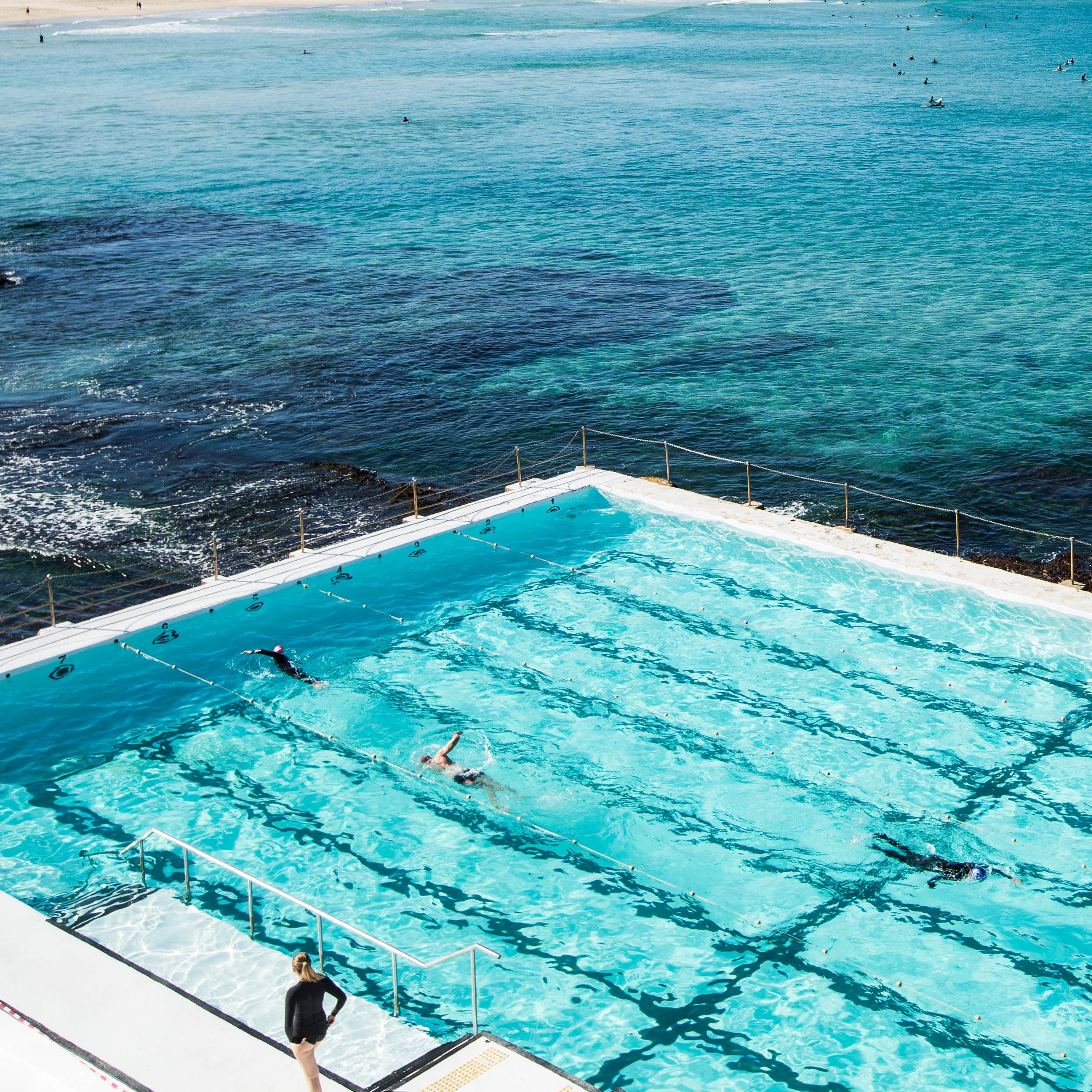 Bondi-Iceburgs-Bathers-by-Pip-Cowley-1x1-2016.jpg