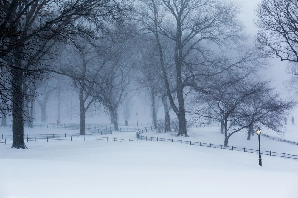 NYC+Central+Park+Snow+Jan+2016-2359-2by+Pip+Cowley+2.jpg