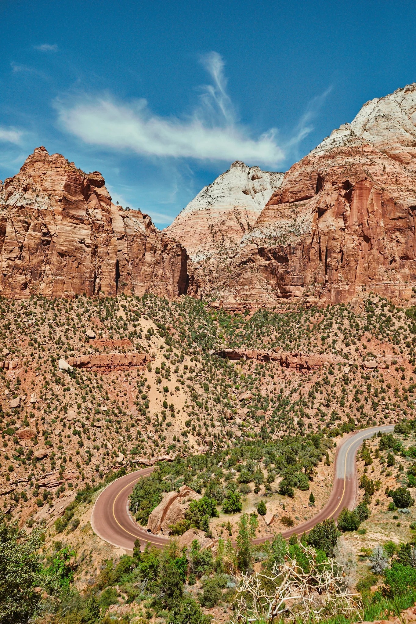 20190426_Zion_BryceCanyon_PipCowley_0457.jpg