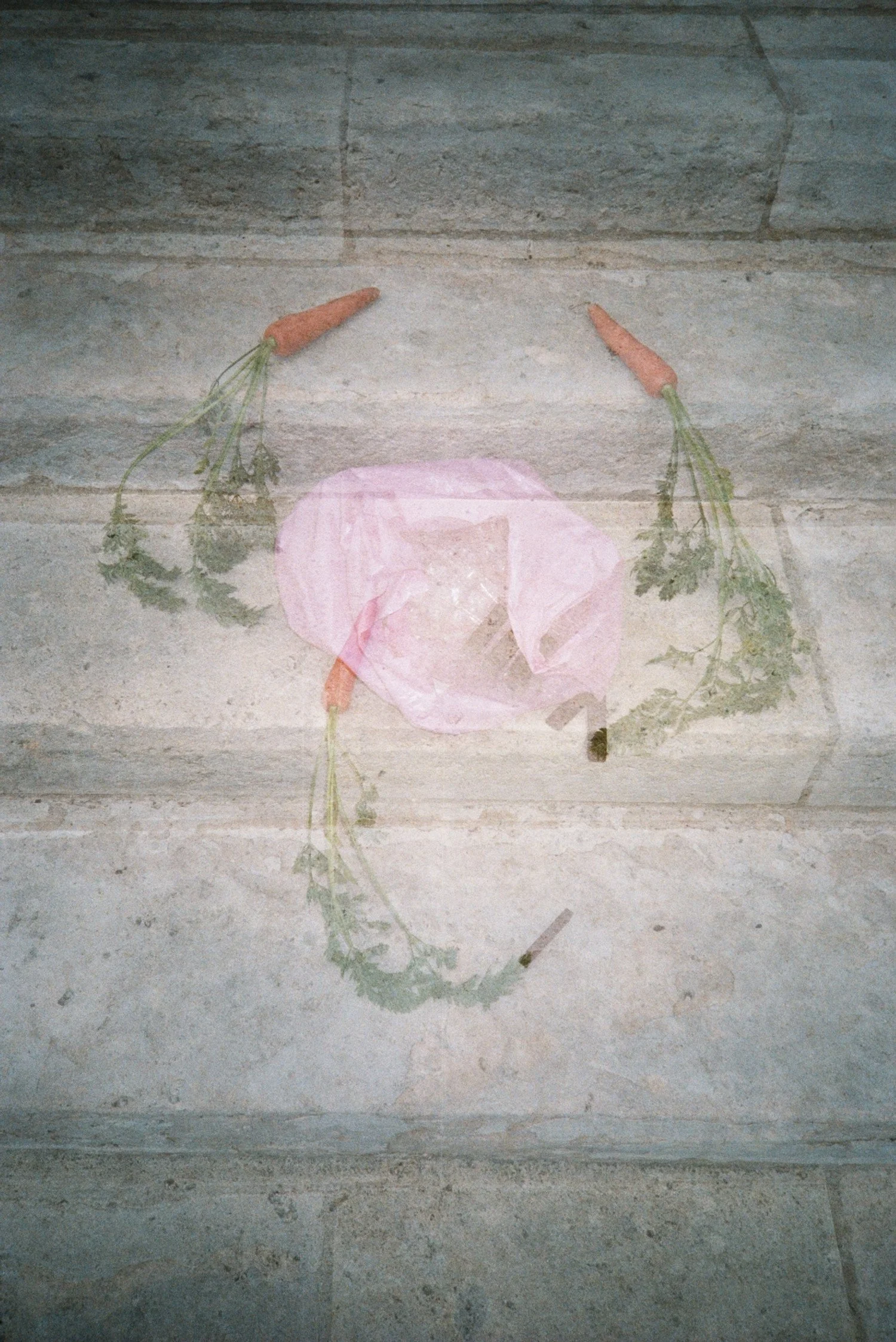 61f95-11.jpg