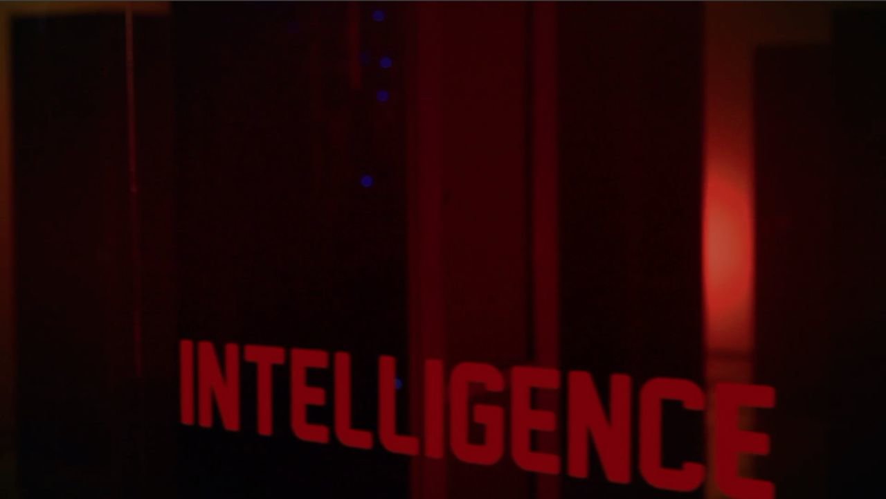 Intelligence