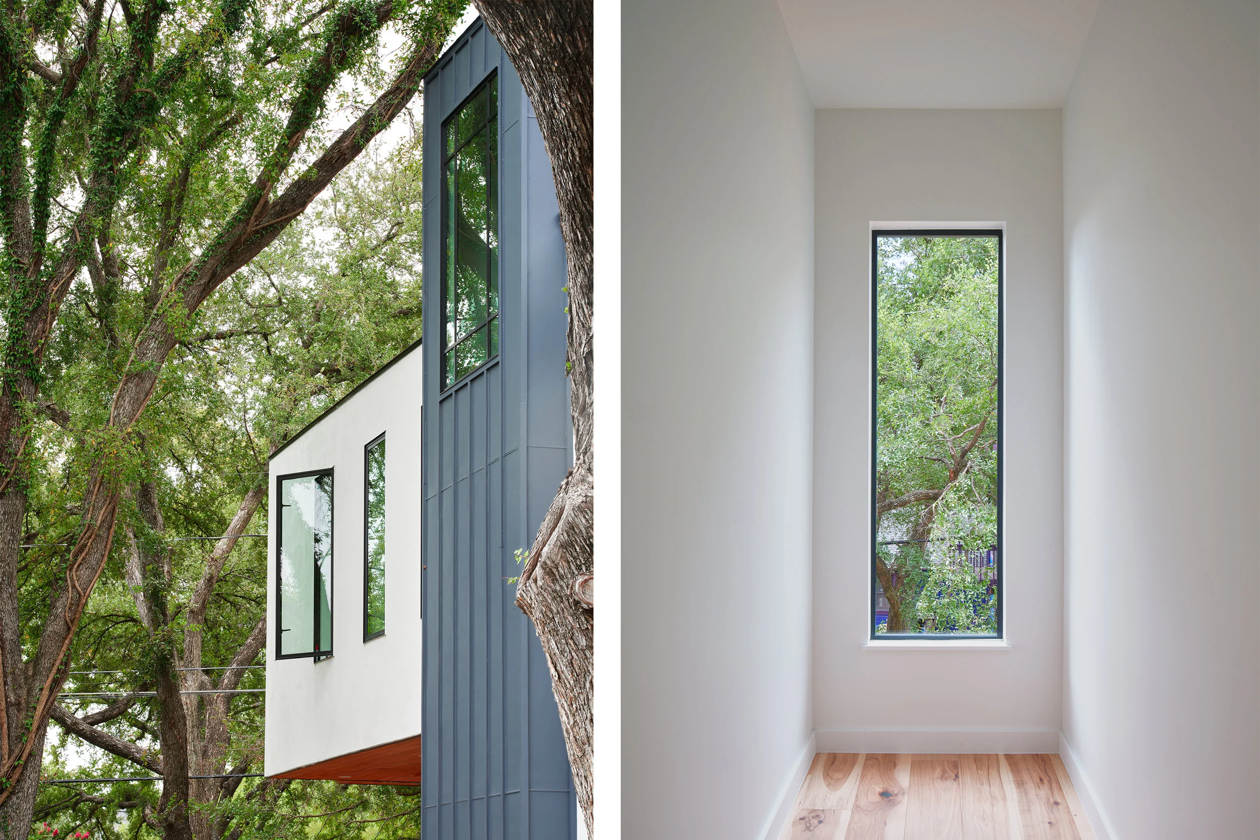 RabbGlen_Windows.jpg