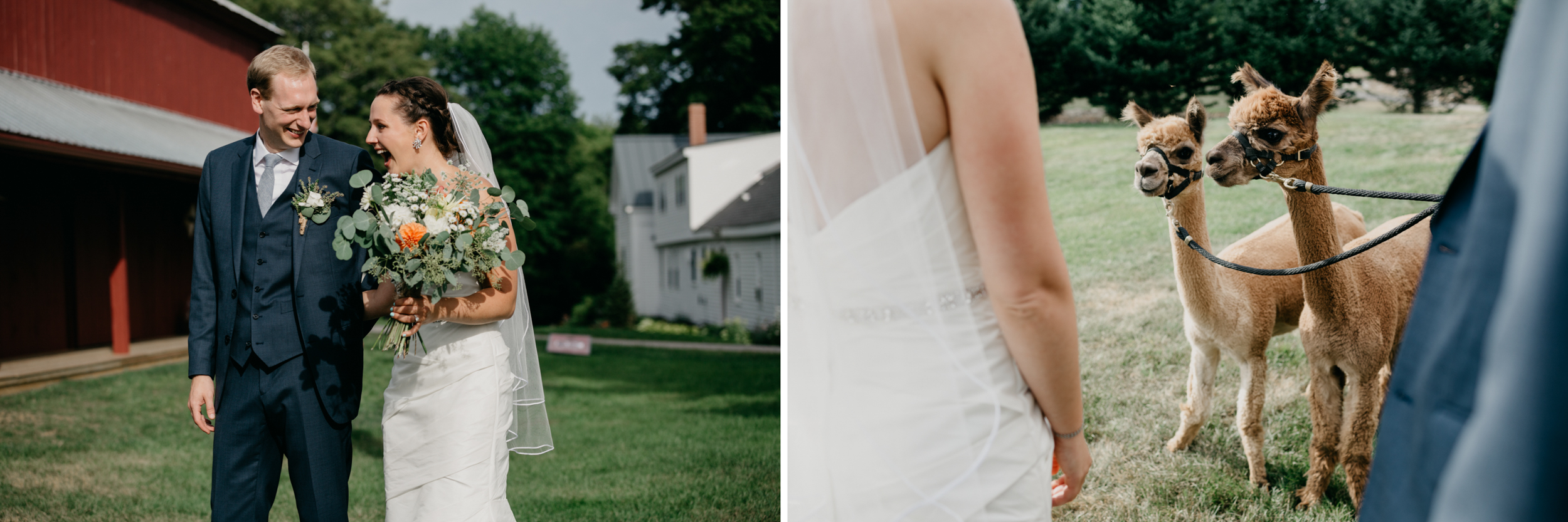 Jessie_Erik_Pownal_Maine_Wedding_William_allen_farm_032.jpg