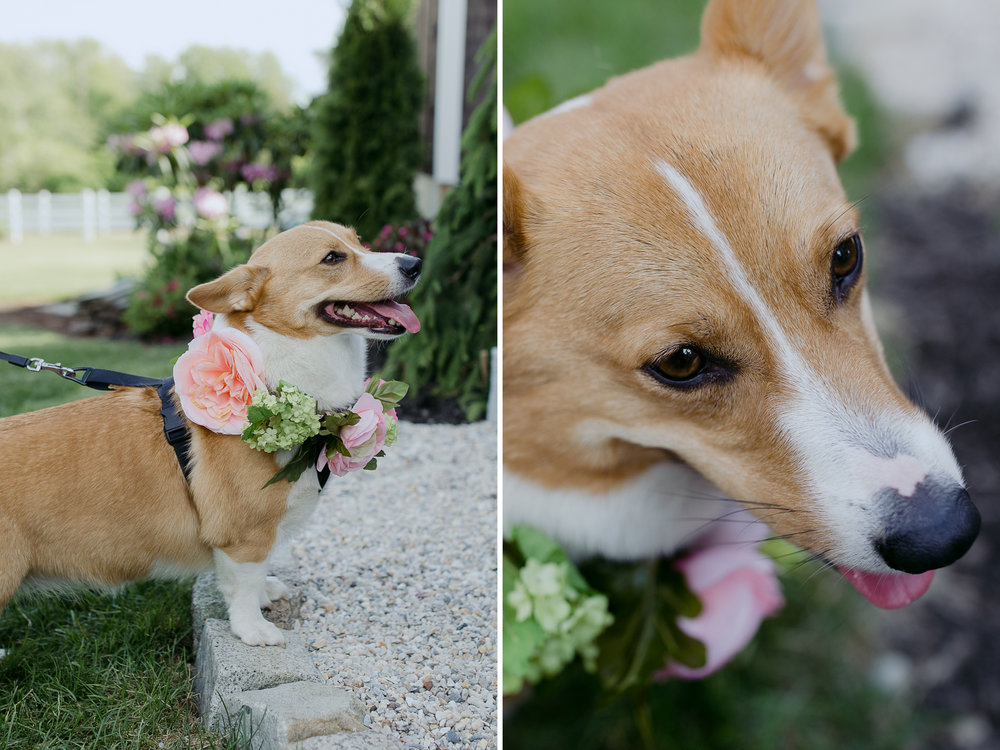 Livewell_Farm_wedding_Harpswell_maine_Meghan_Jim_007.jpg