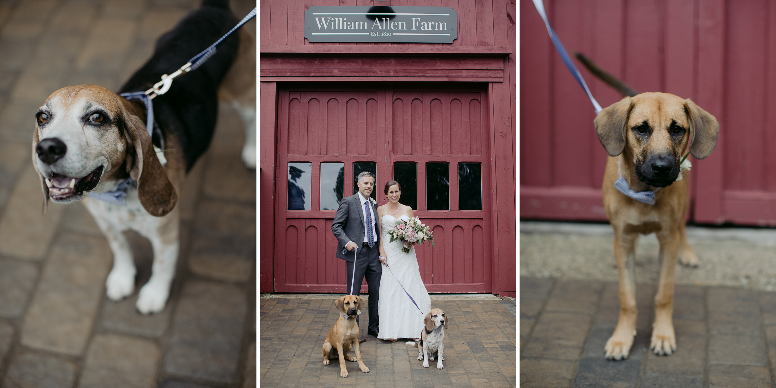 william_allen_farm_pownal_wedding_maine_michelleben-5.jpg