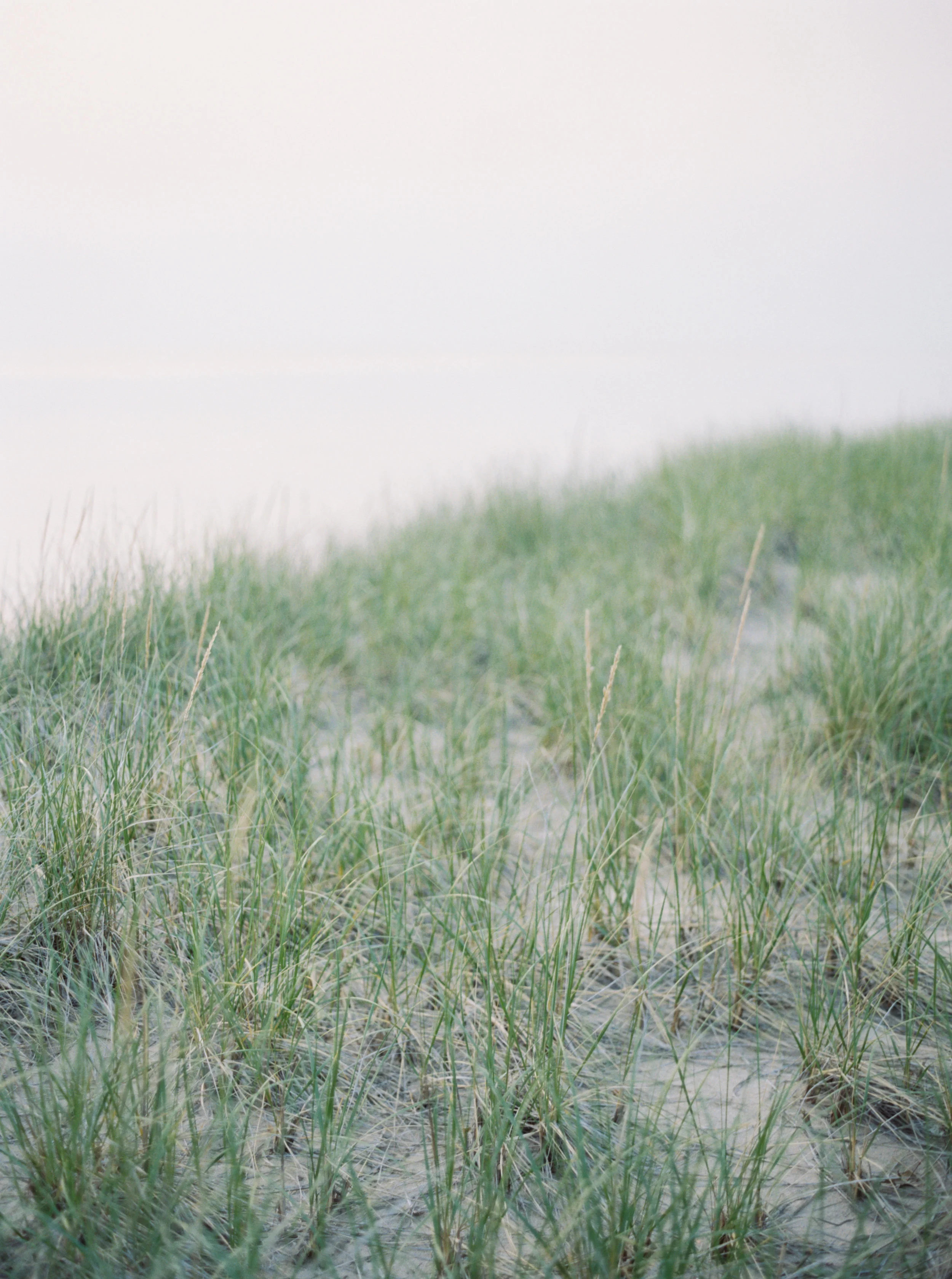 Beautiful_0045.jpg