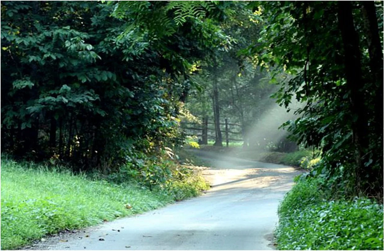 scenic-adair-columbia-kentucky-morning-in-the-holler.jpg