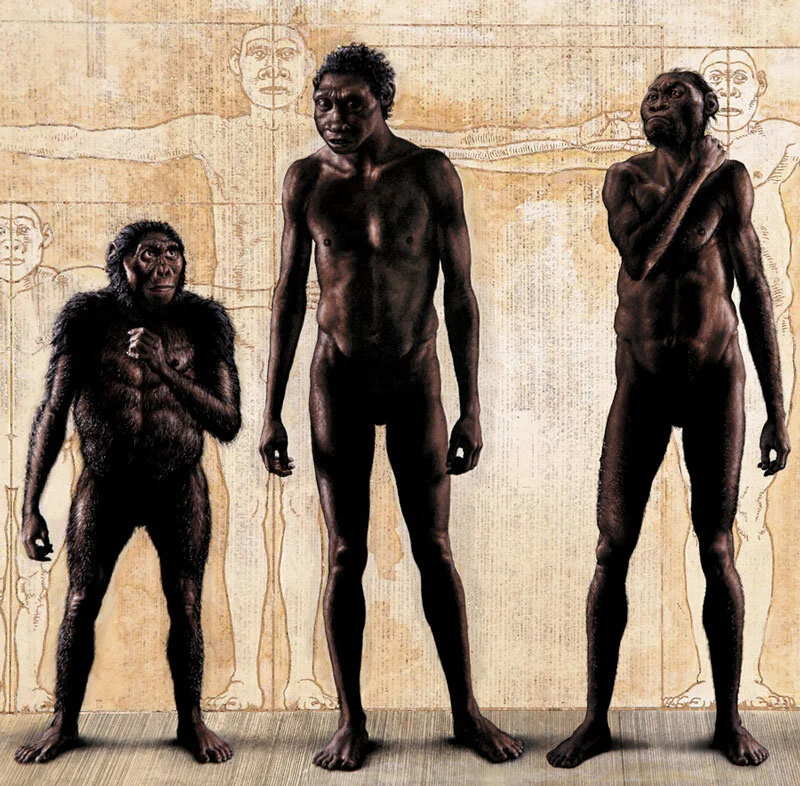 the earliest and first human (Homo sapiens) was discovered in the area of what is known today as Africa. And that the place at that time was called Eden.