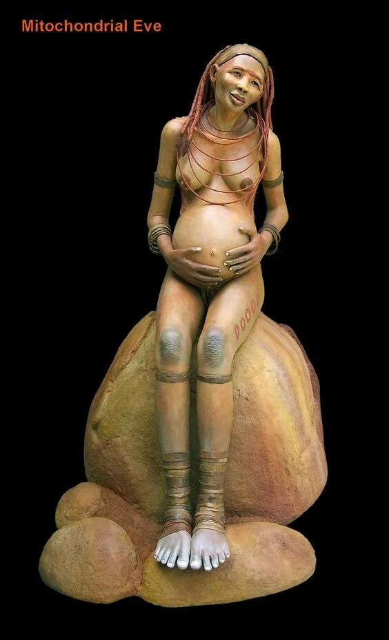 “In human genetics, the Mitochondrial Eve (also mt-Eve, mt-MRCA) is the matrilineal most recent common ancestor (MRCA) of all living humans. In other words, she is defined as the most recent woman from whom all living humans descend in an unbroken line purely through their mothers and through the mothers of those mothers, back until all lines converge on one woman.” more information at wikipedia:… https://en.wikipedia.org/wiki/Mitochondrial_Eve