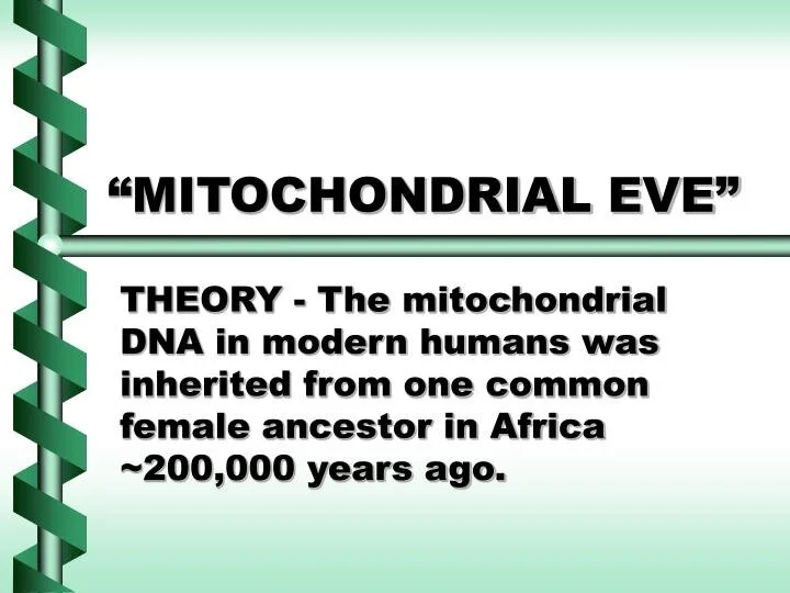 mitochondrial-eve-n.jpg